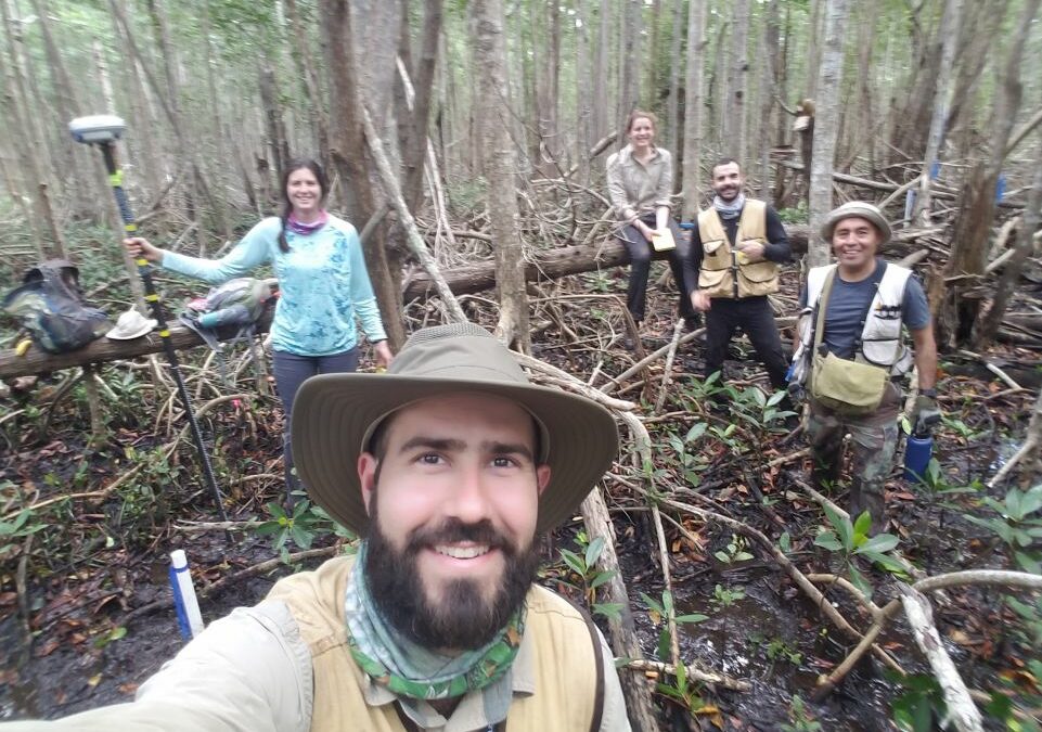 Ghost Forests of the Everglades Reveal Impacts from Irma