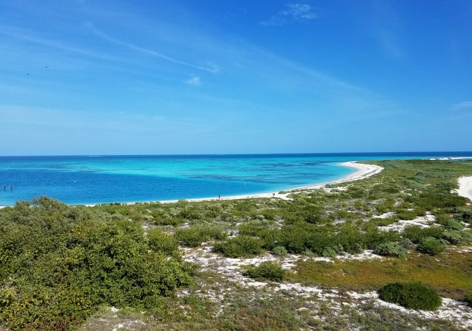 NASA Funds ECU Scientist to Study Coastal Seascapes from Space