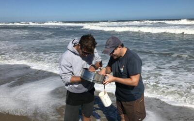 CSI, ECU Researchers Study Beach Nourishment Effects on Pea Island