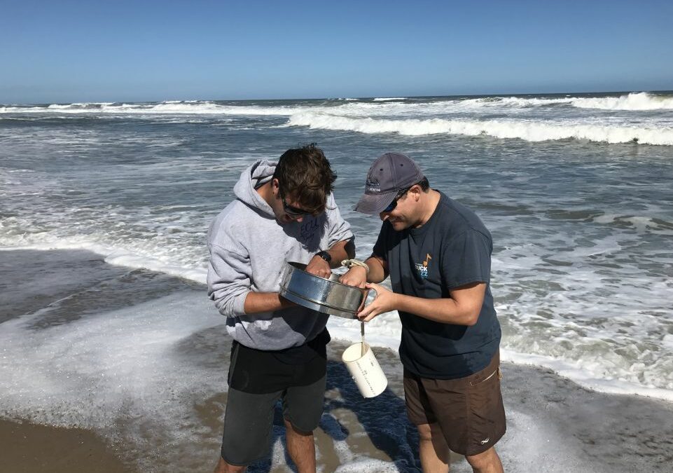 CSI, ECU Researchers Study Beach Nourishment Effects on Pea Island