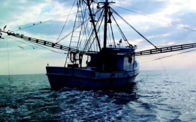 CSI Biologist Awarded Funding for Fisheries and Climate Change Work