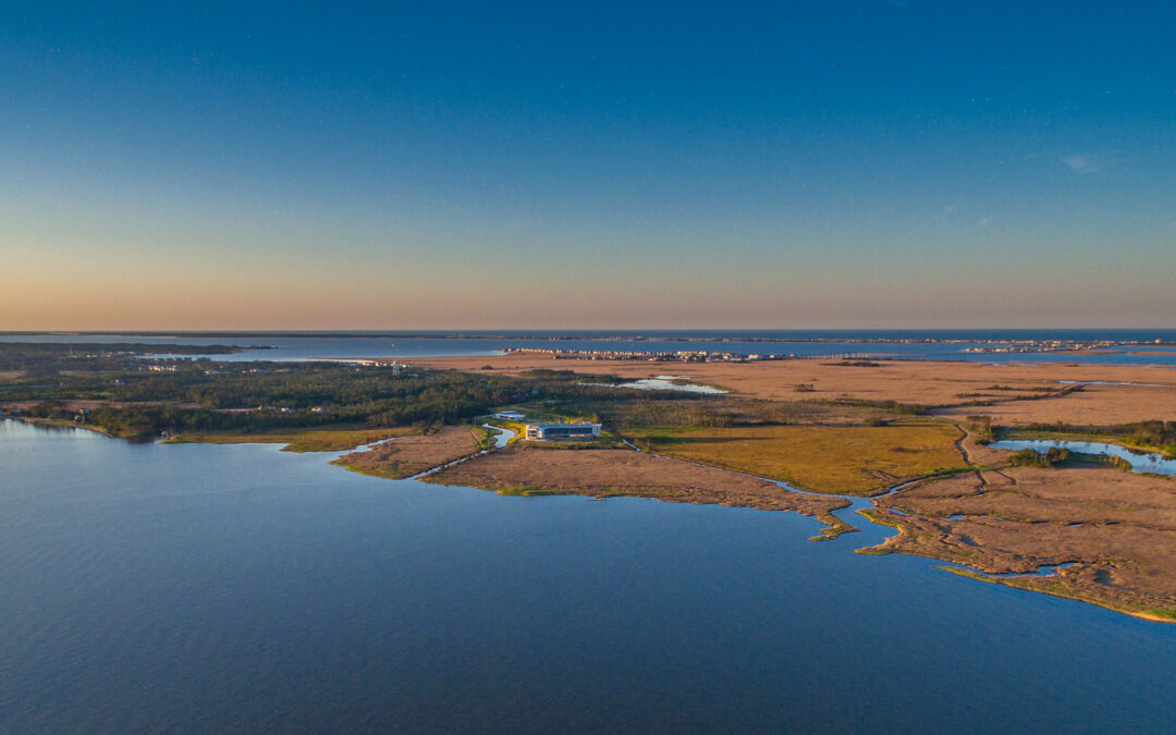 Integrated Coastal Programs Awards Three Scholarships for Coastal and Marine Sciences