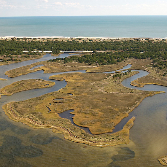 Marine and Coastal managment Square-1
