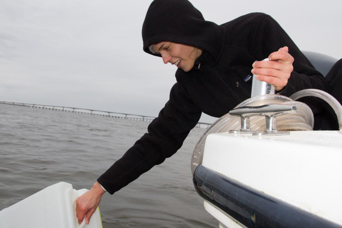 sidsampling3