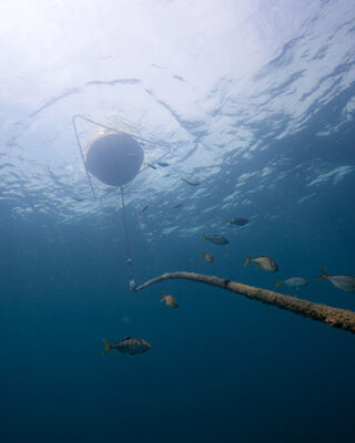 waverider_live_feed