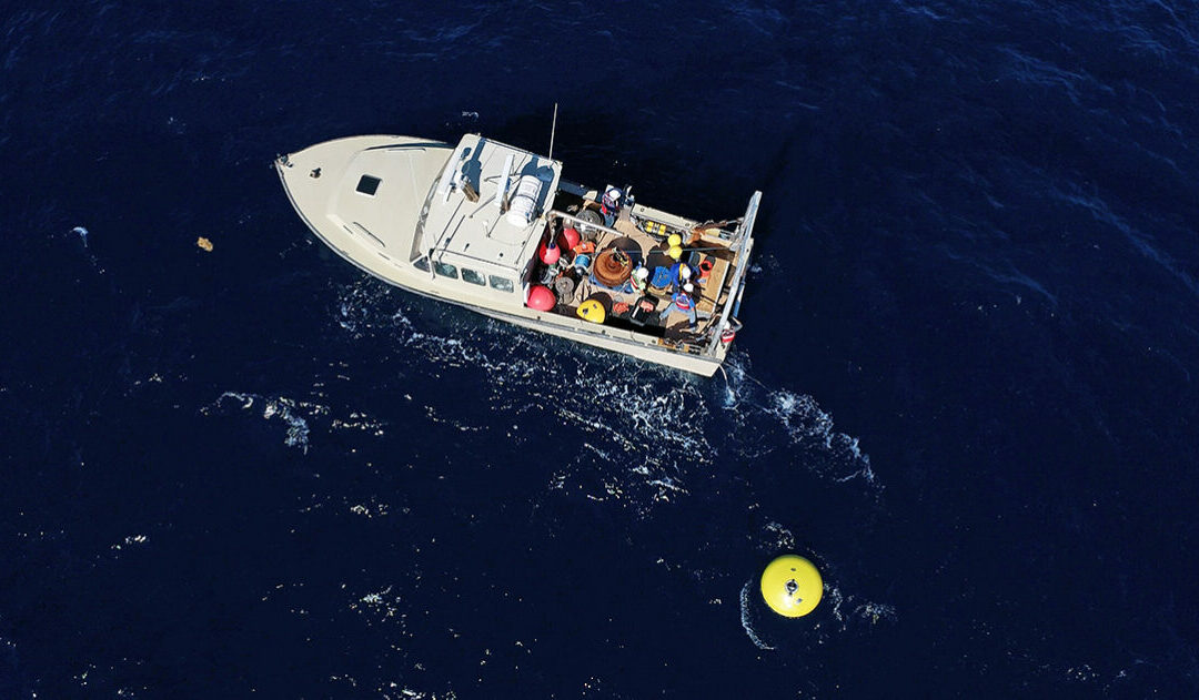 Muglia Research Group Collaborates with NOAA, SECOORA, FACT to Deploy Offshore Buoy