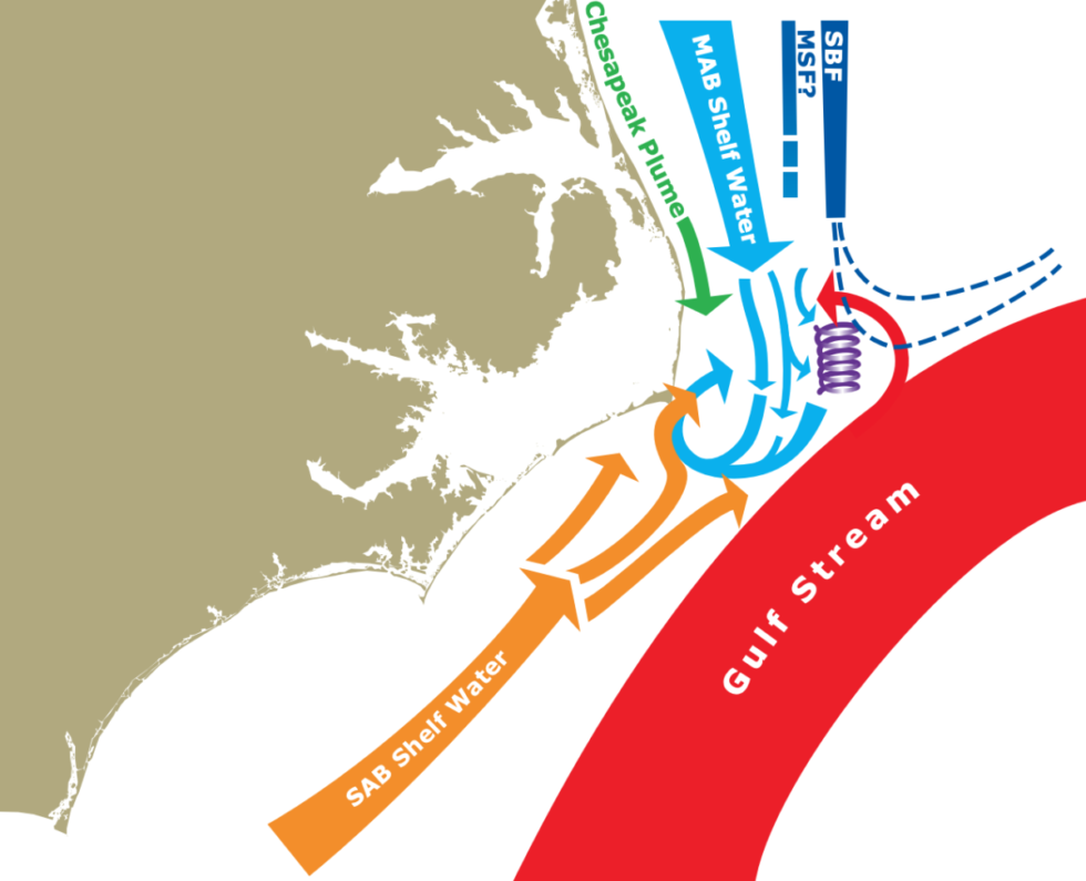 Converging Currents and Everything Else: The Magic of the Gulf Stream 