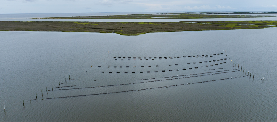 Updates from the Fisheries Ecology Lab