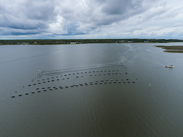 Aquaculture_web