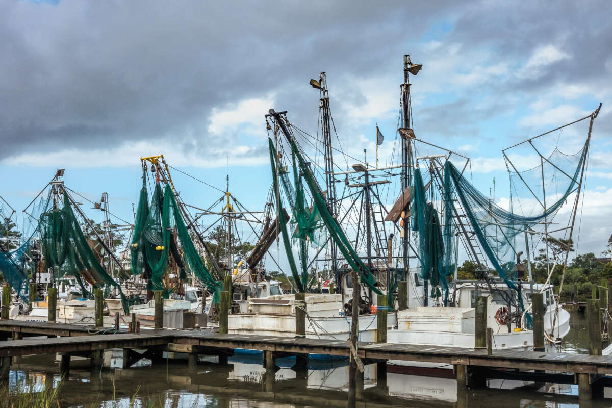 Shrimp Trawlers, Harkers Island, NC, USA