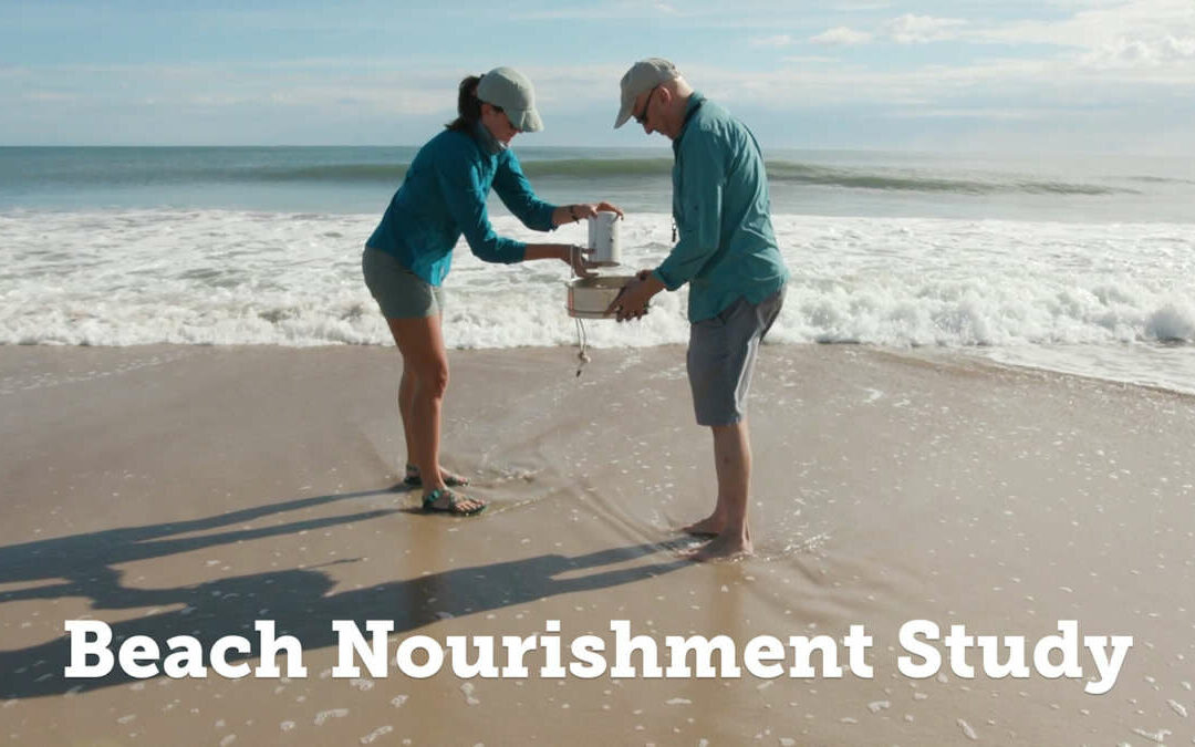 New Research Highlight Video:  Long-term Impacts of Beach Nourishment on Shoreline Ecosystems