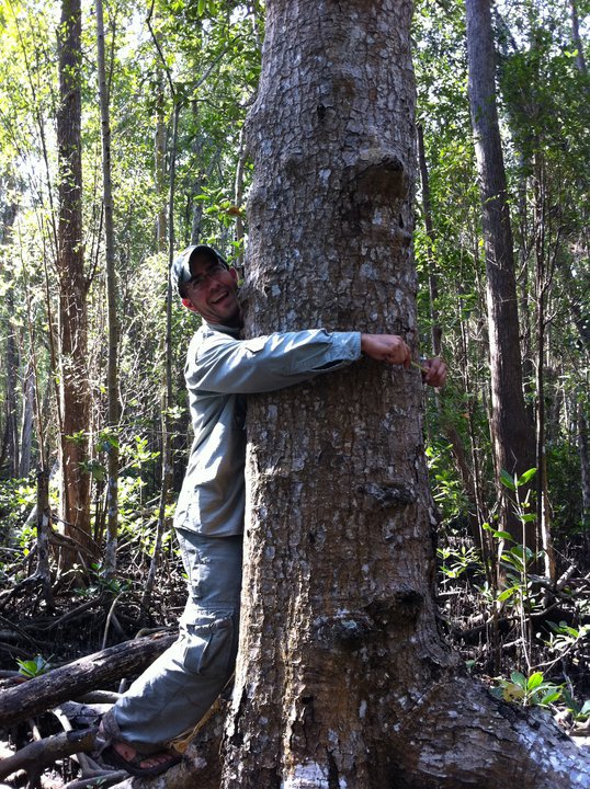 tree_Hugging
