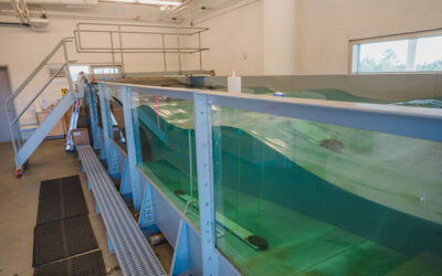 CSI Designated as TEAMER Facility