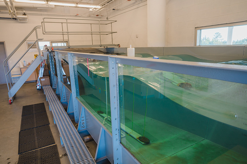 Rogue Wave research at the coastal Studies Institute showing a wave generator