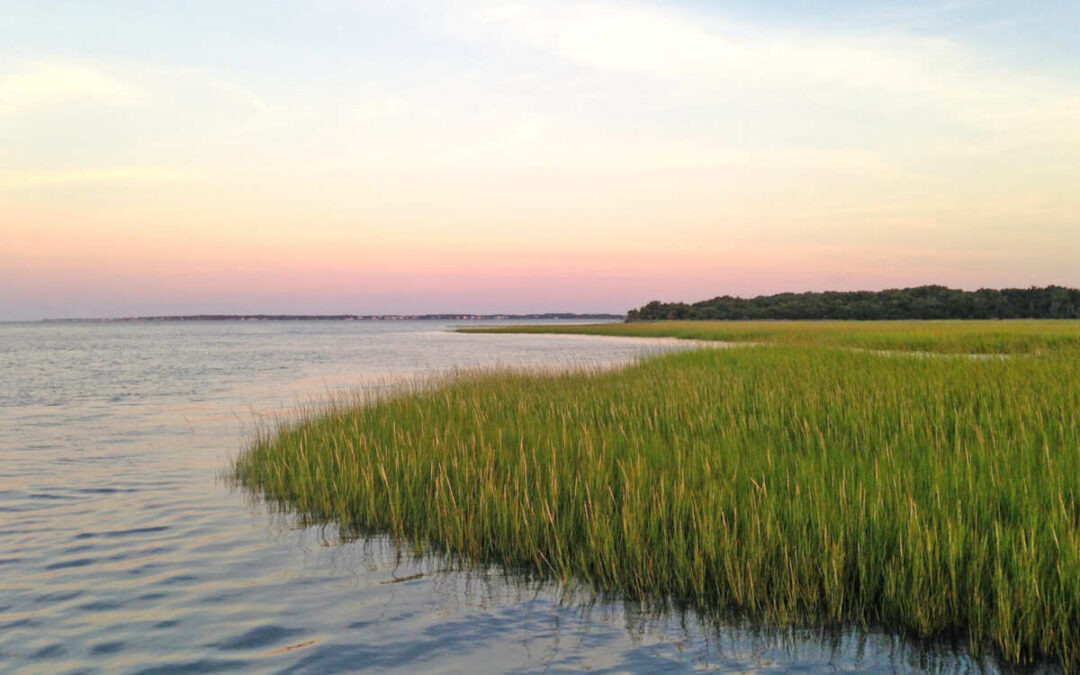 Coastal Fellows Initiative: Ideas Meet Collaboration