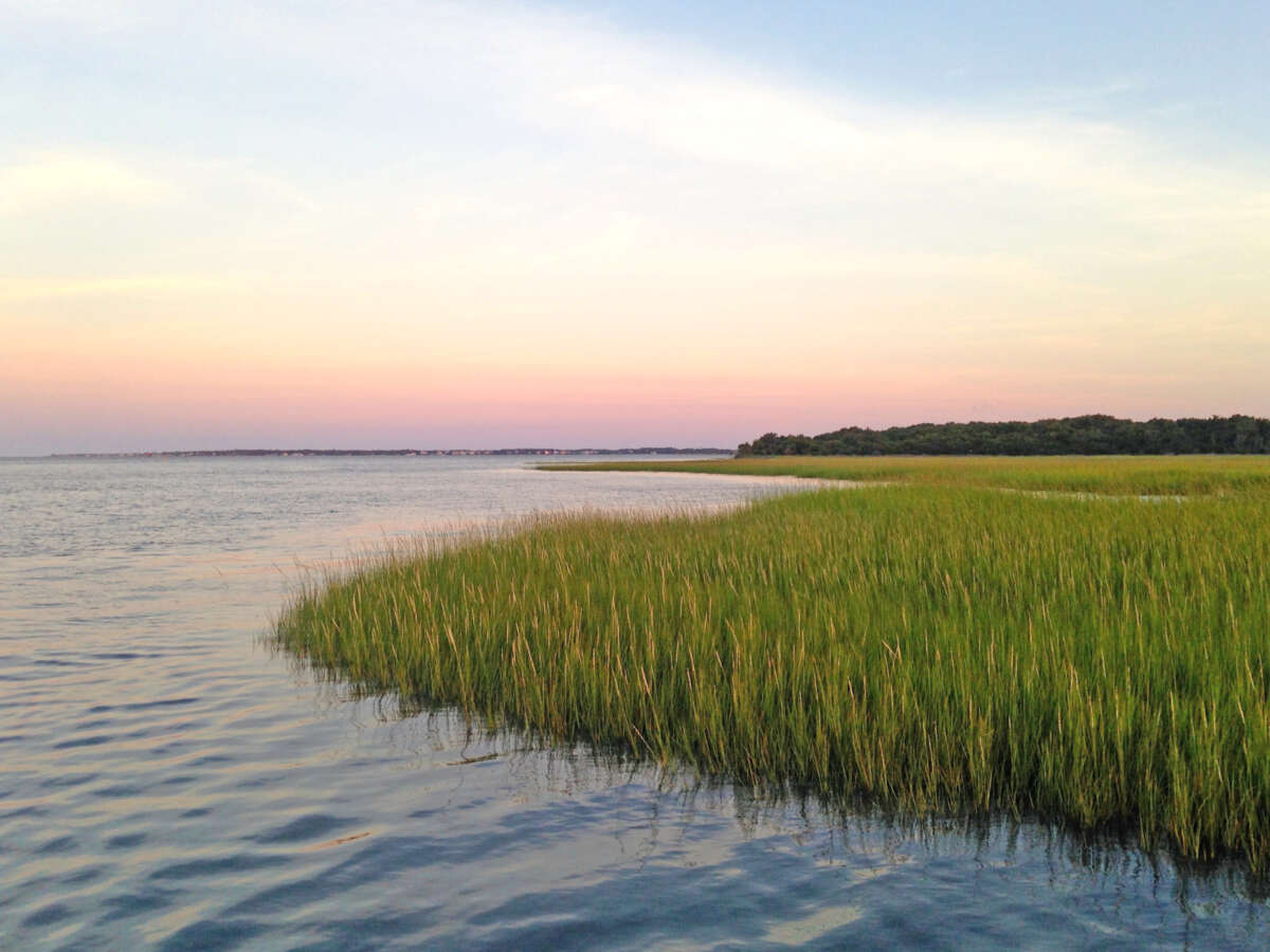 Marsh Shoreline copy