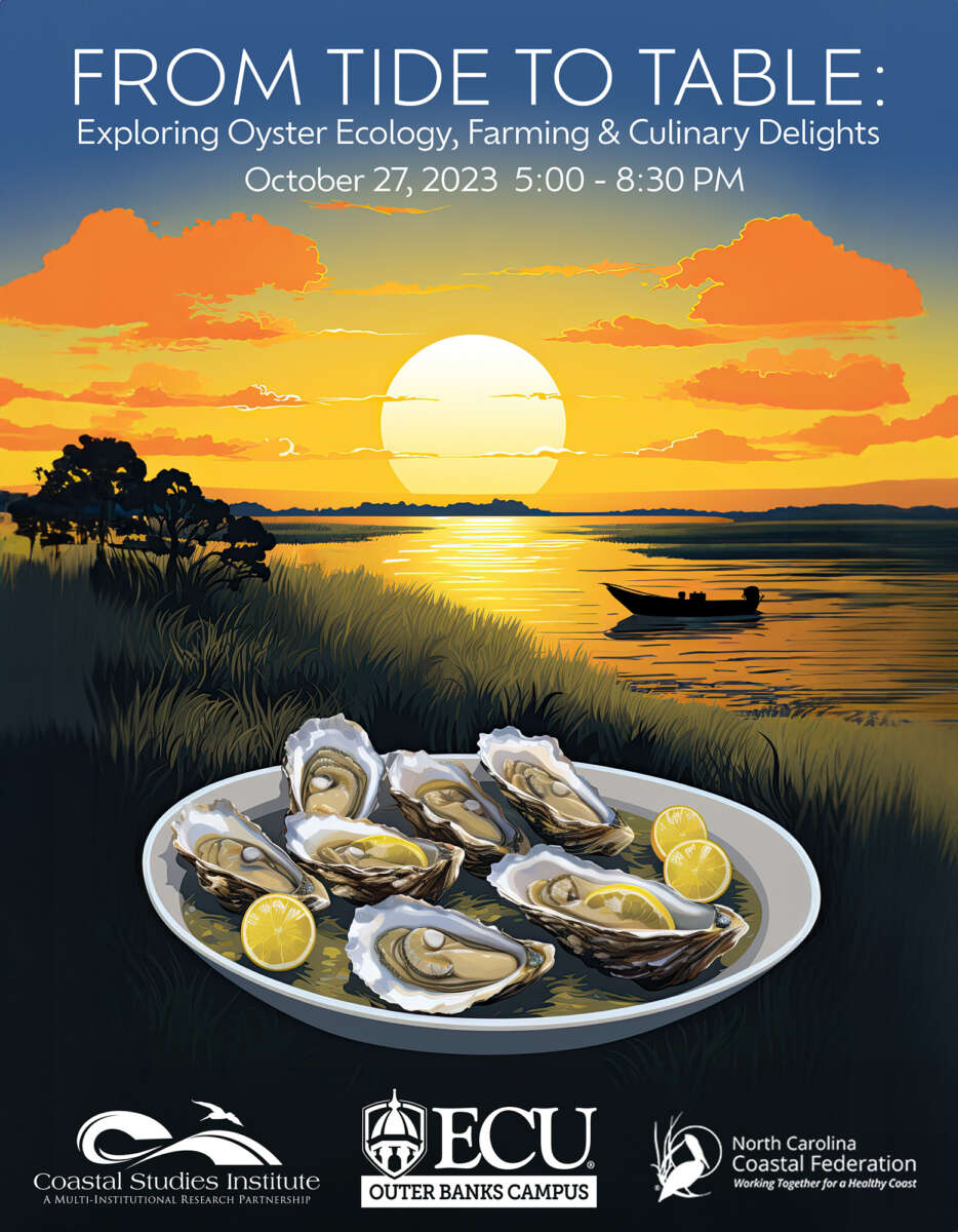 Oytser program banner web