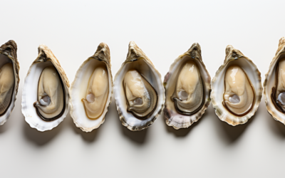 New Event Oct. 27: From Tide to Table, an Oyster Tasting Occasion
