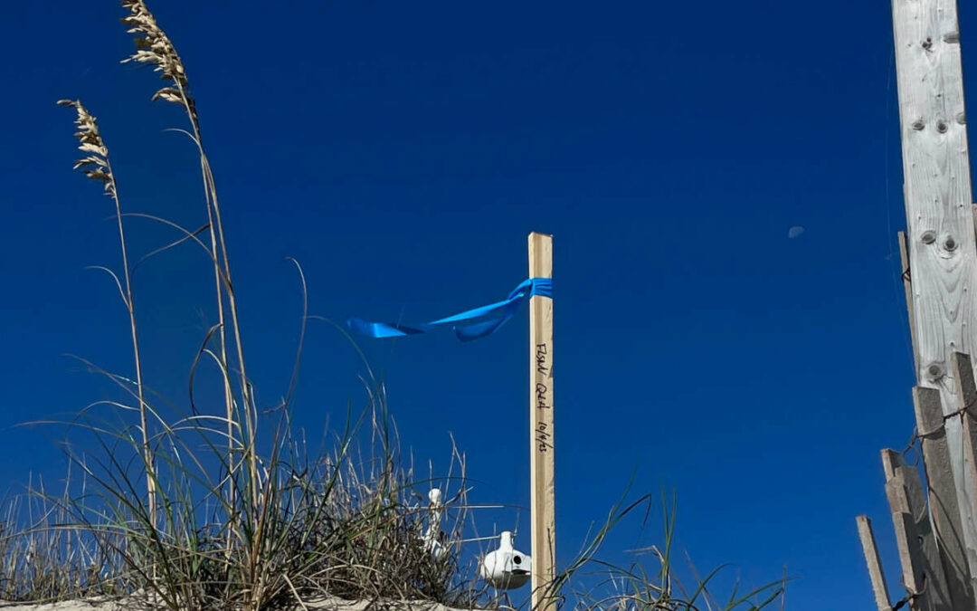 Internship Teaches OBXFS Student about Coastal Management