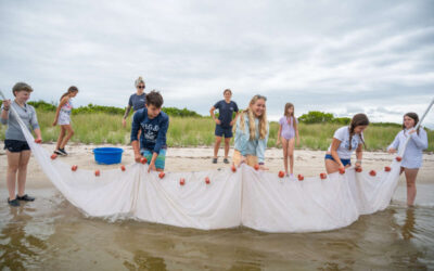 Curious Campers Enjoyed Coastal Courses in 2025